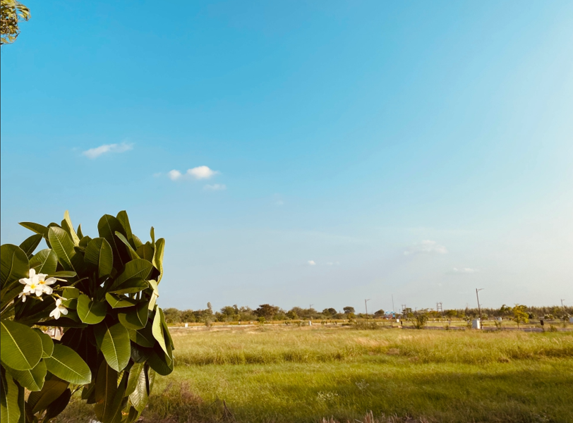 Florence Pride Project Front View